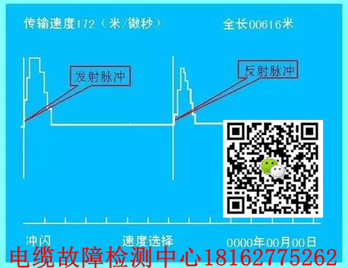 脉冲法91国内产香蕉检测.png