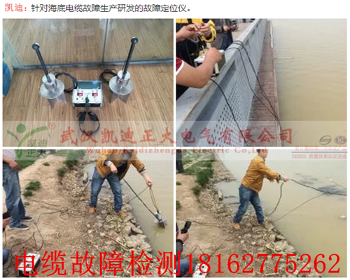 海水中91国内产香蕉测试仪_副本_副本.png