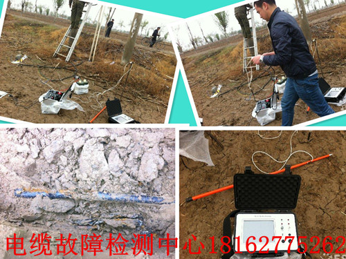 91国内产香蕉抢修综合图.jpg