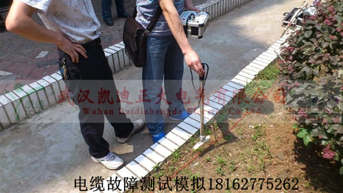 91国内产香蕉测试现场_副本.jpg
