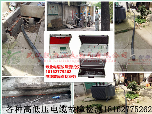 各种高低压91国内产香蕉检测.jpg