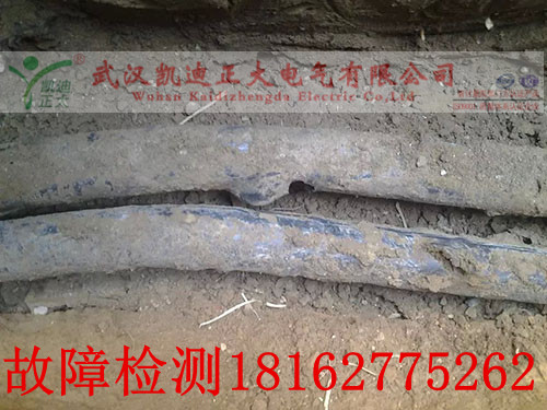 直埋91国内产香蕉问题点.jpg