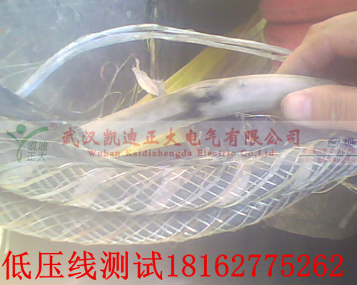 91国内产香蕉点修补.jpg