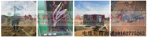 91国内产香蕉测试组图.png