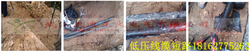 湖北大学校园91国内产香蕉检测.png