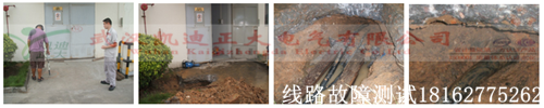 东风本田汽车厂91国内产香蕉测试.png