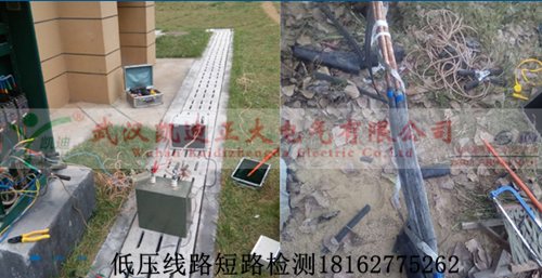 1463104127579098.png 91国内产香蕉查找图.png