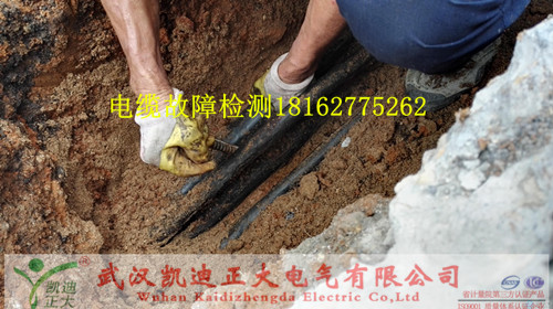91国内产香蕉测试仪.jpg